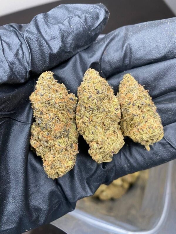buy-weed-in-hamburg-1.jpeg Cannabis online in Düsseldorf kaufen