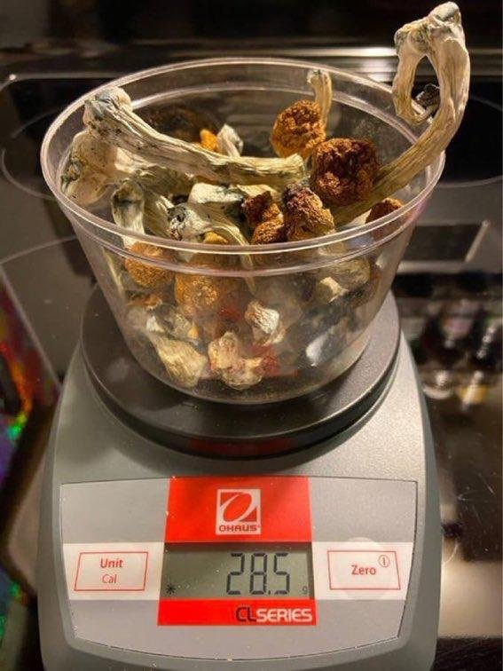 dried-shrooms-scaled-1.jpeg Pilze in Düsseldorf online kaufen