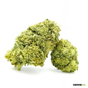 Frosted Cookies Superior 55% ❄️🍪