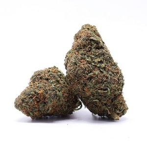 Flower HHC 30 Coockie Kush